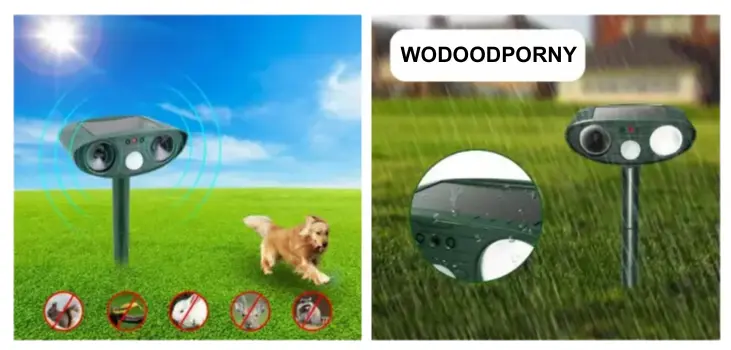 Split image. Left, SonicGuard Field in field with dog playing around; Right, SonicGuard Field in field, raining. 